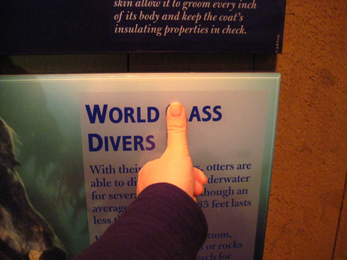World Ass Divers